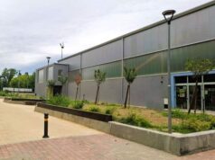 Al via il IV Torneo calcio a 5 Bimbo Tu: sport, solidarietà e comunità a Medicina