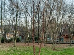Esploratori di quartiere: il gioco “urbano” dedicato a ragazzi e ragazze sassolesi