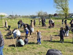 Oltre 1.100 nuove piante messe a dimora: Sassuolo è sempre più verde