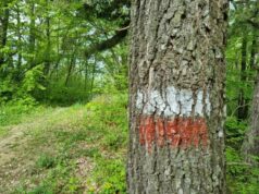 Accordo tra il Comune e CAI Bologna per la manutenzione dei sentieri