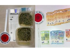 La Polizia Locale di Bologna libera un cane intrappolato nella ringhiera di un balcone e trova sostanza stupefacente