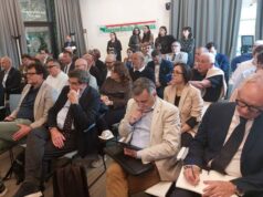 Nautica da diporto, l’Emilia-Romagna uno dei principali poli produttivi del Paese