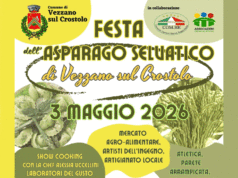 Tutto pronto a Vezzano sul Crostolo per la Festa dell’Asparago Selvatico