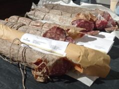 Torna a Guastalla “Naturambiente”, tra ecologia, tradizione, cultura e tutela del Po