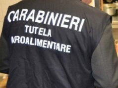 Nel reggiano sequestrate 91 tonnellate di cereali e legumi conservate tra i topi e senza tracciabilità