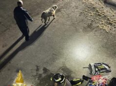 Intervento di soccorso tecnico urgente dei Vigili del Fuoco per salvare un cane nel comune di Zocca
