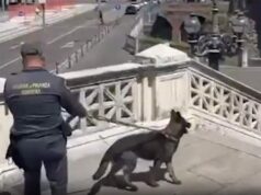 Operazione interforze nel Centro Storico di Bologna: contrasto allo spaccio e all’immigrazione irregolare