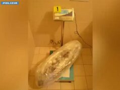 La Squadra Mobile di Bologna arresta corriere con oltre 10 kg di marijuana occultati in un sacco da boxe
