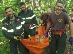I Vigili del fuoco intervengono in soccorso di un ovino ferito nei calanchi di Roccamalatina