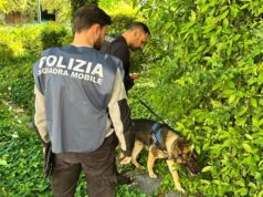 Base di spaccio all’interno di un casolare a Correggio: arrestato dalla Polizia di Stato presunto pusher 20enne