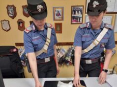 Soliera: i Carabinieri sequestrano mezzo chilo di droga e denunciano gli occupanti di un immobile