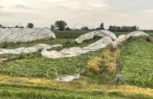 Il maltempo ha colpito in particolare la Bassa modenese
