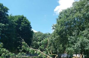 Carpi: maltempo, verifiche e interventi nei parchi e sulle strade